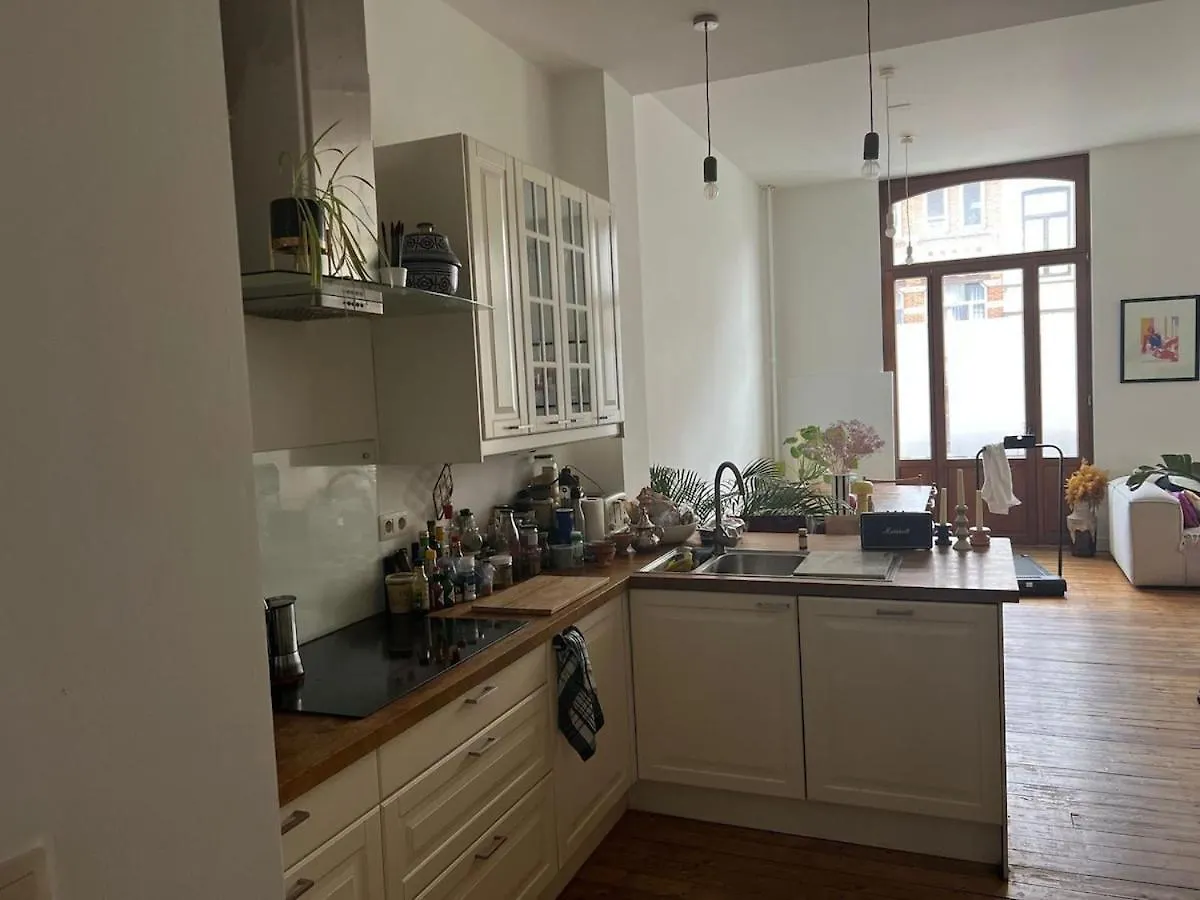 Charmant Appartement Au Coeur De Bruxelles 0*, Брюссель Бельгия